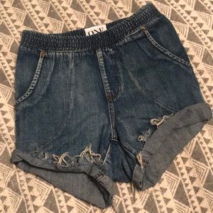 One Teaspoon Hunters Shorts.